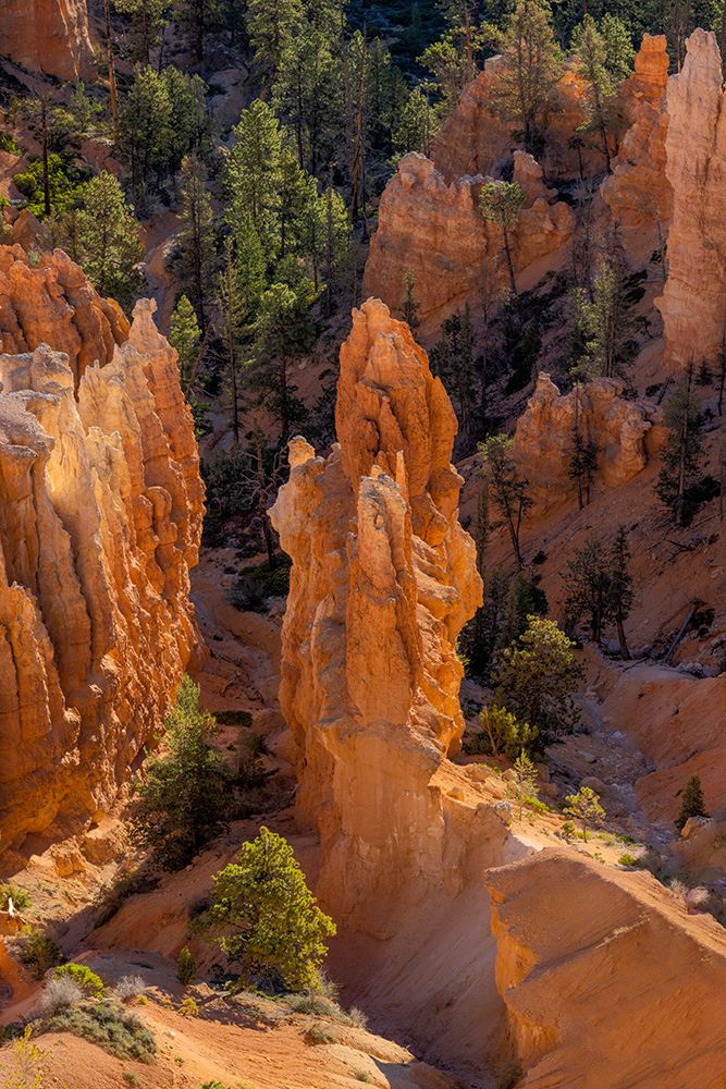 Sunrise at Bryce Canyon National Park, Utah